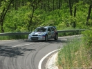 gal/Salgo-Gemer_Rally_2010/_thb_Salgo 319.jpg